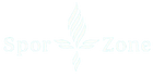 SportZoneMM – Inicio